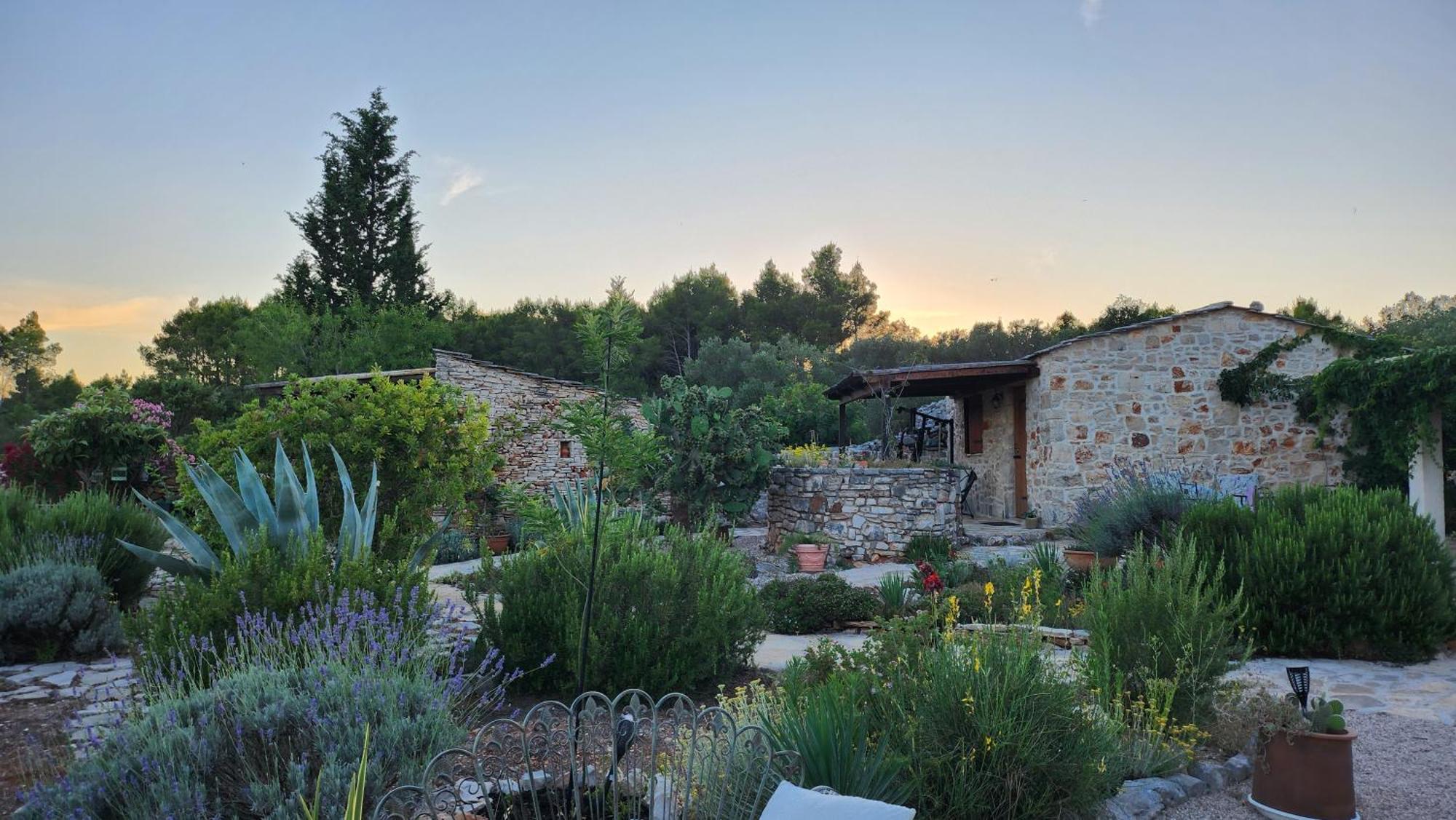 Villa Oxa Dreamland Stari Grad Kültér fotó