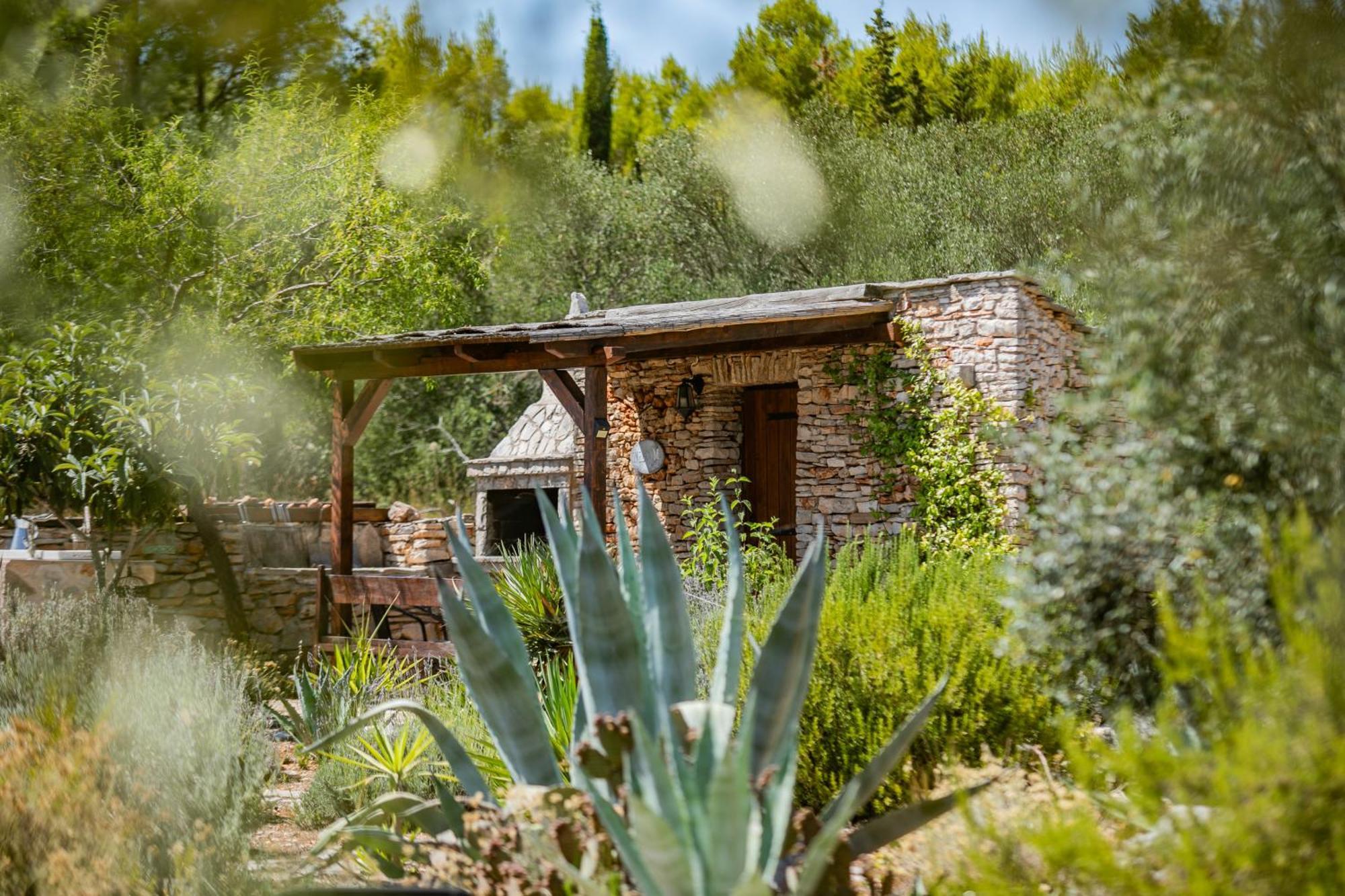 Villa Oxa Dreamland Stari Grad Kültér fotó